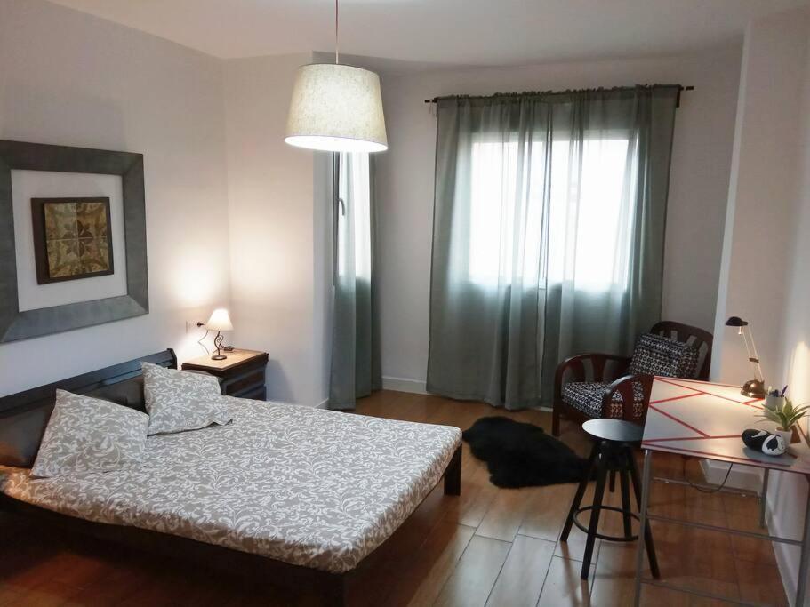 Ideal Apartamento Para Familia Con Wifi 萨贡托 外观 照片