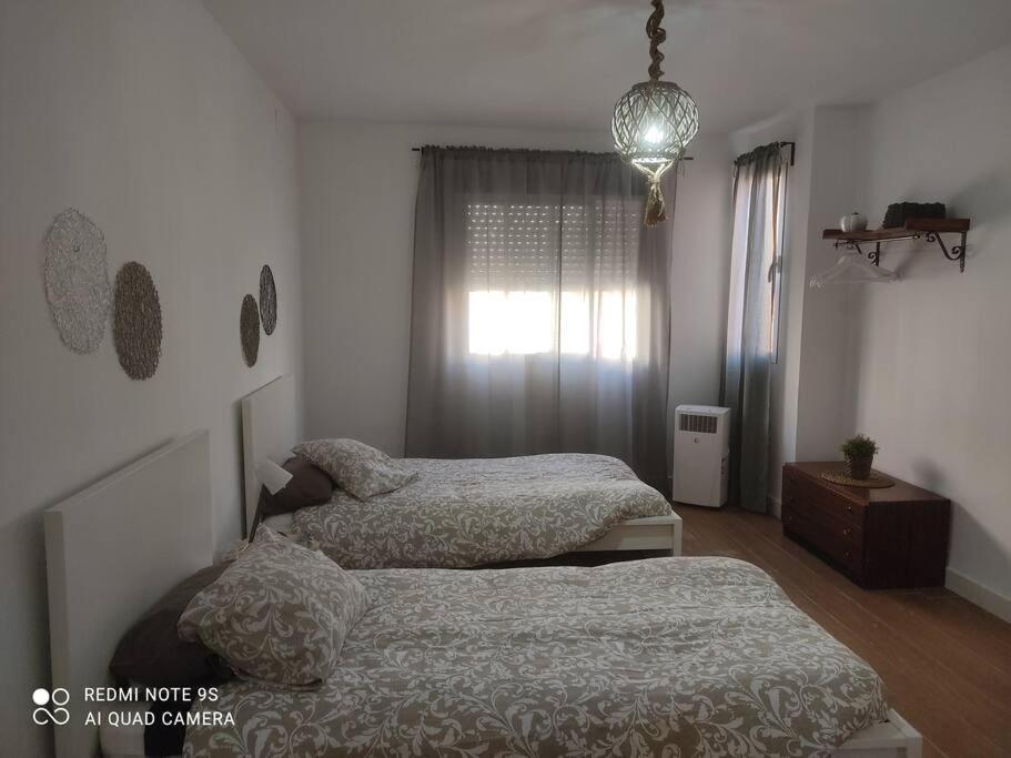 Ideal Apartamento Para Familia Con Wifi 萨贡托 外观 照片